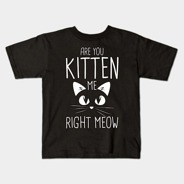 Are You Kitten Me Right Meow Kids T-Shirt by TeddyTees